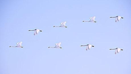 《开拓者：正义之路》现已在Steam平台推出年度游戏版 包含全部DLC内容